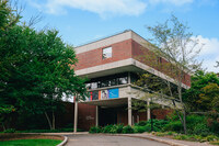 Art Museum, during the summer of 2024