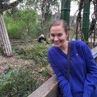 Caitlin Baltzley ’16 at the Chengdu Panda Reserve in China.