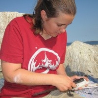 Elizabeth Dickinson FP’13,