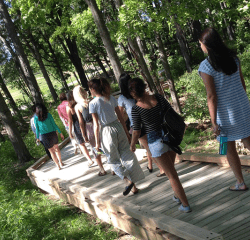 campus-living-lab-boardwalk.png Students walking on the living lab boardwalk