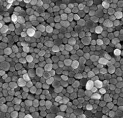 Nanoparticles