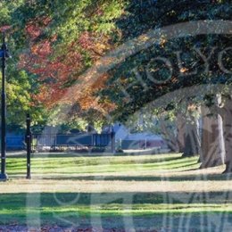 Trees on Mount Holyoke College campus, leaves starting to change from green to orange and red.