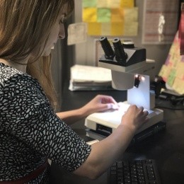 Laura Breitenfeld ’17 using a microscope