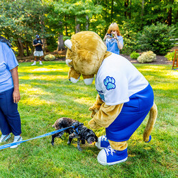 Mascot Paws meets President Holley's dog, Blu.