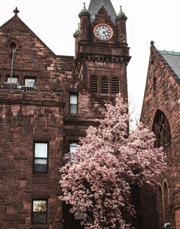 The clocktower on Mary Lyon Hall with a pink flowering tree nearby