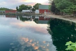 McCray's Farm