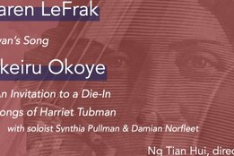 2017 Mary Lyon Concert poster