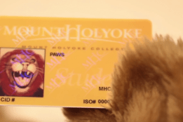 A Mount Holyoke College ID card issed to Paws, our mascot
