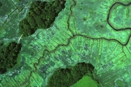 A sample image taken from an August 2004 survey of the Plum Island Sound Estuary