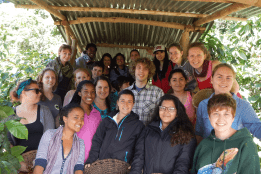 A group of students in a study abroad program in Costa Rica