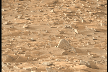 NASA's Mars Perseverance rover captured this image of the red planet's surface on May 24, 2024. Image Credit: NASA/JPL-Caltech/ASU