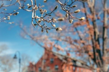 Mount Holyoke College Campus Beauty