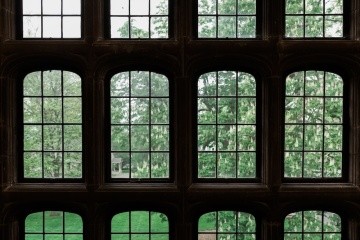 A wall of windows
