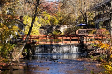 Overlooking a walkway at Mount Holyoke College