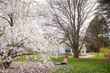 Student sits on the grass by a flowering tree in the spring, Mount Holyoke Campus.