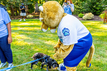 Mascot Paws meets President Holley's dog, Blu.