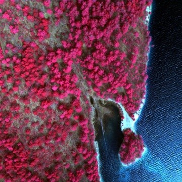 A color infrared sample image taken over the Quabbin Reservoir