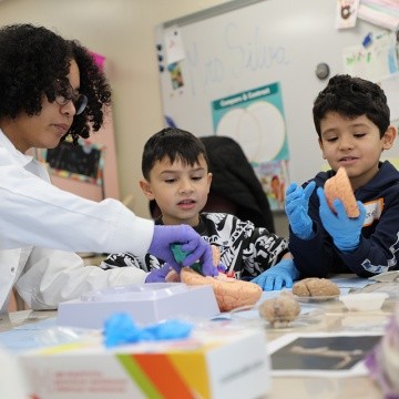 Students look on at a brain activity workshop.