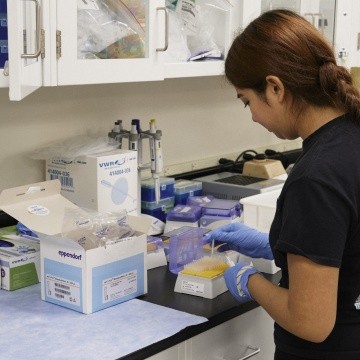 A neuroscience students working in the Schwartzer lab