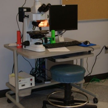 Nikon 50Ti fluorescence microscope
