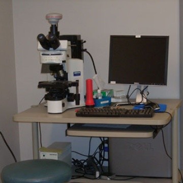 Olympus BX41 fluorescence microscope