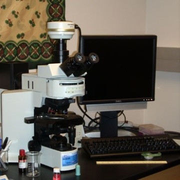 Olympus BX51 reflected light microscope