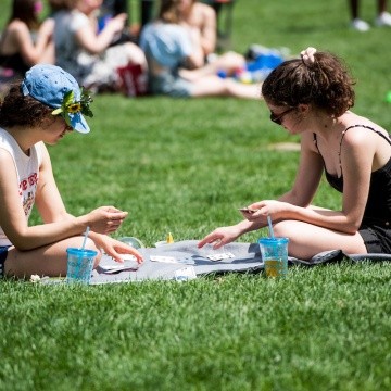 Students playing cards on Skinner Green during Pangy Day