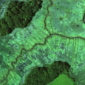 A sample image taken from an August 2004 survey of the Plum Island Sound Estuary