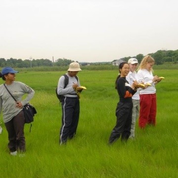 Students on the Plum Island Sound Long-Term Ecological Research Site.