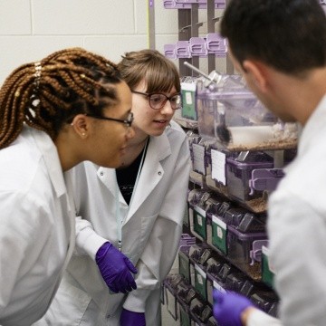 Pyschology students observing a research experiment