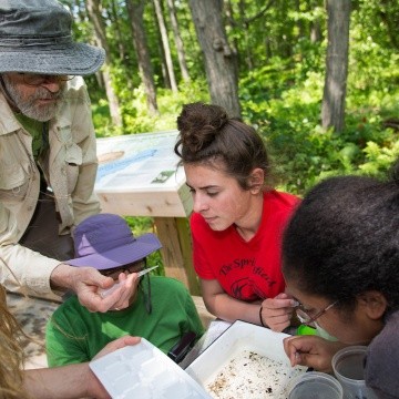Students looking at a water sample in a pipette