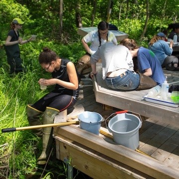 Restoration Ecology students investigating samples taken near the Project Stream boardwalk