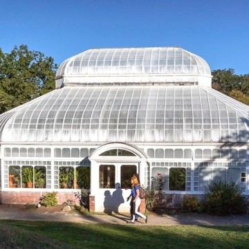 Talcott Greenhouse