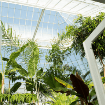 The view as you walk through the doors of Talcott Greenhouse