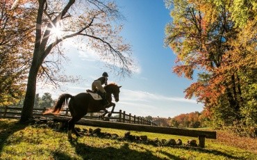 Horse and student practicing at Mount Holyoke College