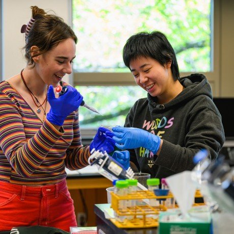 Students in the eukaryotic molecular genetics lab at Mount Holyoke College, October 17, 2024. Photo by Max Wilhelm.