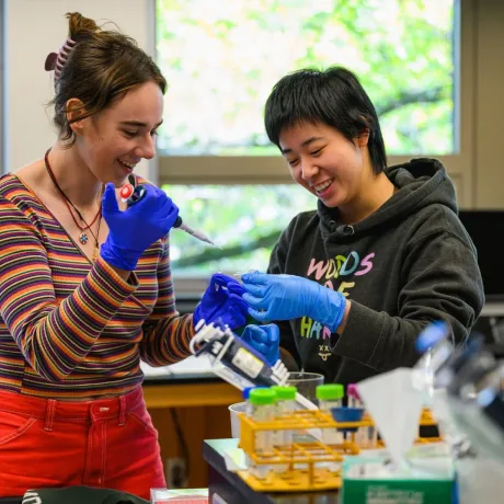 Students in the eukaryotic molecular genetics lab at Mount Holyoke College, October 17, 2024. Photo by Max Wilhelm.