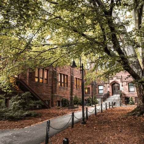 The entrance to Dwight Hall with the beloved beech tree in the courtyard