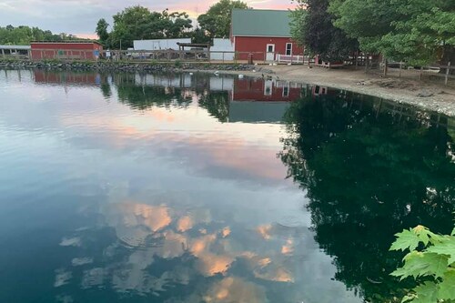 McCray's Farm