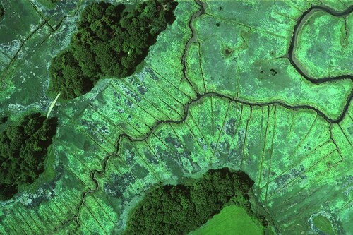 A sample image taken from an August 2004 survey of the Plum Island Sound Estuary