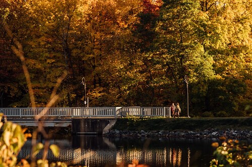 Students crossing the Lower Pond bridge in fall.