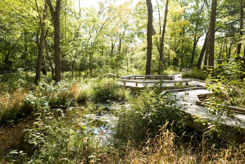 The Project Stream research site, a boardwalk in a wooded area near a stream