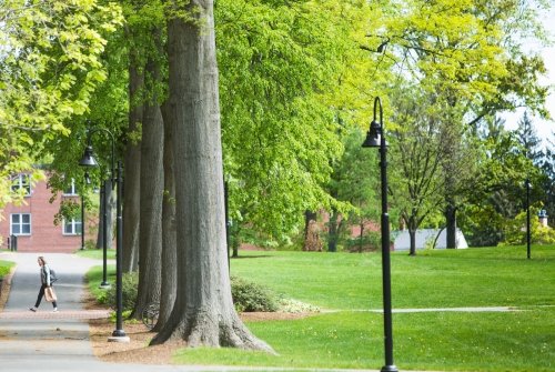 A person walking on the Mount Holyoke College campus