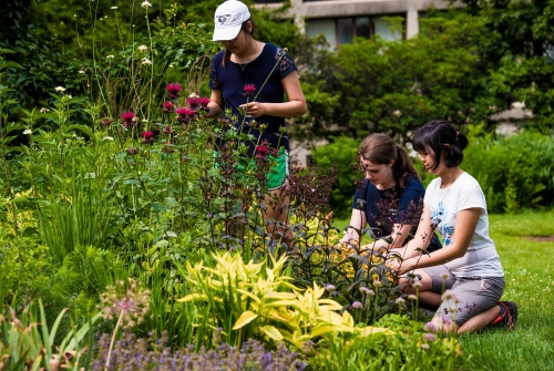 Students working in one of the many gardens on campus