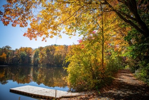 Dock on upper lake with fall leaves on the trees around and above the lake.