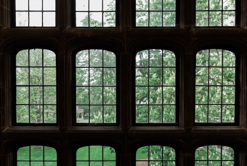 A wall of windows