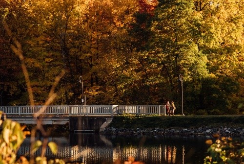 Students crossing the Lower Pond bridge in fall.
