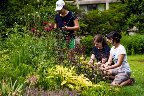 Students working in one of the many gardens on campus
