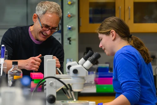 MLS Spring Newsletter Header (2026)