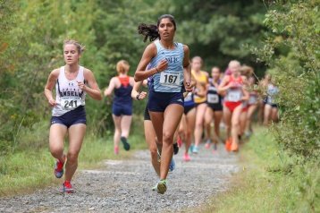 A group of runners competing in cross country